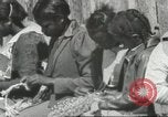 Image Calhoun school Lowndes County Alabama USA, 1940, de la seconde 46 séquences d'archives historiques vidéo 65675057565