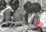 Image Calhoun school Lowndes County Alabama USA, 1940, de la seconde 47 séquences d'archives historiques vidéo 65675057565