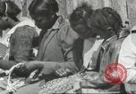 Image Calhoun school Lowndes County Alabama USA, 1940, de la seconde 48 séquences d'archives historiques vidéo 65675057565
