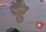Image of Forest Heights Mississippi United States USA, 1966, second 32 stock footage video 65675057572