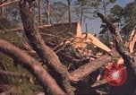 Image of HUD housing project Mississippi United States USA, 1966, second 4 stock footage video 65675057574