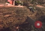 Image of HUD housing project Mississippi United States USA, 1966, second 10 stock footage video 65675057574