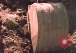 Image of HUD housing project Mississippi United States USA, 1966, second 21 stock footage video 65675057574