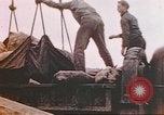 Image of Aleutian Islands Campaign Aleutian Islands Alaska USA, 1943, second 16 stock footage video 65675057598