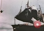Image of Aleutian Islands Campaign Aleutian Islands Alaska USA, 1943, second 27 stock footage video 65675057598