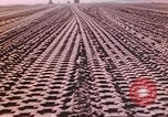 Image of Aleutian Islands Campaign Aleutian Islands Alaska USA, 1943, second 61 stock footage video 65675057600