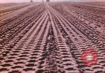 Image of Aleutian Islands Campaign Aleutian Islands Alaska USA, 1943, second 62 stock footage video 65675057600