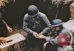 Image of Aleutian Islands Campaign Aleutian Islands Alaska USA, 1943, second 8 stock footage video 65675057601