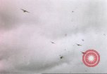 Image of Aleutian Islands Campaign Aleutian Islands Alaska USA, 1943, second 51 stock footage video 65675057601