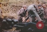 Image of Aleutian Islands Campaign Aleutian Islands Alaska USA, 1943, second 59 stock footage video 65675057602