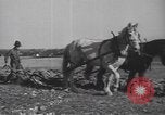 Image Raymond Hamilton United States USA, 1943, de la seconde 40 séquences d'archives historiques vidéo 65675057605