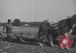 Image Raymond Hamilton United States USA, 1943, de la seconde 43 séquences d'archives historiques vidéo 65675057605