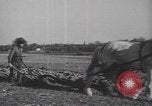 Image Raymond Hamilton United States USA, 1943, de la seconde 44 séquences d'archives historiques vidéo 65675057605
