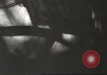 Standbild Invasion in Polen Polen, 1939, aus Sekunde 30 historischem Filmmaterial Videoclip 65675057608