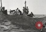 Immagine di La pesca Spagna, 1943, secondo 37 filmato di repertorio 65675057611