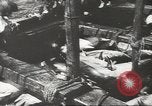 Immagine di La pesca Spagna, 1943, secondo 47 filmato di repertorio 65675057611