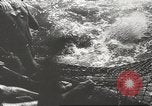 Immagine di La pesca Spagna, 1943, secondo 49 filmato di repertorio 65675057611