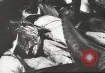 Immagine di La pesca Spagna, 1943, secondo 51 filmato di repertorio 65675057611