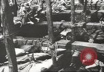 Immagine di La pesca Spagna, 1943, secondo 54 filmato di repertorio 65675057611