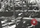 Immagine di La pesca Spagna, 1943, secondo 55 filmato di repertorio 65675057611