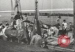 Immagine di La pesca Spagna, 1943, secondo 61 filmato di repertorio 65675057611