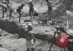 Immagine di Gioventù hitleriana estate athletic soddisfare a Breslavia Breslavia Polonia, 1943, secondo 25 filmato di repertorio 65675057612