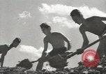 Immagine di Gioventù hitleriana estate athletic soddisfare a Breslavia Breslavia Polonia, 1943, secondo 34 filmato di repertorio 65675057612