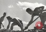 Immagine di Gioventù hitleriana estate athletic soddisfare a Breslavia Breslavia Polonia, 1943, secondo 35 filmato di repertorio 65675057612