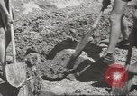 Immagine di Gioventù hitleriana estate athletic soddisfare a Breslavia Breslavia Polonia, 1943, secondo 39 filmato di repertorio 65675057612