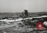 Image of Wreckage and bodies of some crew from B-17 Bomber number 42-23011 shot down over Germany Germany, 1943, second 4 stock footage video 65675057613