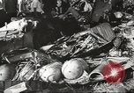 Image of Wreckage and bodies of some crew from B-17 Bomber number 42-23011 shot down over Germany Germany, 1943, second 11 stock footage video 65675057613