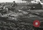 Image of Wreckage and bodies of some crew from B-17 Bomber number 42-23011 shot down over Germany Germany, 1943, second 13 stock footage video 65675057613