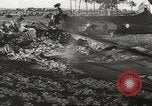 Image of Wreckage and bodies of some crew from B-17 Bomber number 42-23011 shot down over Germany Germany, 1943, second 14 stock footage video 65675057613