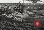 Image of Wreckage and bodies of some crew from B-17 Bomber number 42-23011 shot down over Germany Germany, 1943, second 15 stock footage video 65675057613