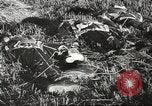 Image of Wreckage and bodies of some crew from B-17 Bomber number 42-23011 shot down over Germany Germany, 1943, second 16 stock footage video 65675057613