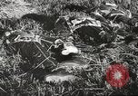Image of Wreckage and bodies of some crew from B-17 Bomber number 42-23011 shot down over Germany Germany, 1943, second 18 stock footage video 65675057613