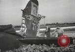 Image of Wreckage and bodies of some crew from B-17 Bomber number 42-23011 shot down over Germany Germany, 1943, second 21 stock footage video 65675057613
