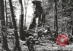Image of Wreckage and bodies of some crew from B-17 Bomber number 42-23011 shot down over Germany Germany, 1943, second 26 stock footage video 65675057613