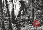 Image of Wreckage and bodies of some crew from B-17 Bomber number 42-23011 shot down over Germany Germany, 1943, second 27 stock footage video 65675057613
