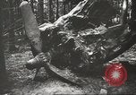 Image of Wreckage and bodies of some crew from B-17 Bomber number 42-23011 shot down over Germany Germany, 1943, second 31 stock footage video 65675057613