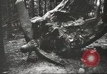 Image of Wreckage and bodies of some crew from B-17 Bomber number 42-23011 shot down over Germany Germany, 1943, second 32 stock footage video 65675057613