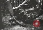 Image of Wreckage and bodies of some crew from B-17 Bomber number 42-23011 shot down over Germany Germany, 1943, second 33 stock footage video 65675057613