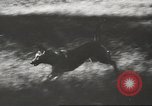 Image Hitler et agents au Wolfs Lair Gierloz Prusse, 1943, de la seconde 14 séquences d'archives historiques vidéo 65675057614