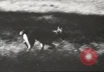 Image Hitler et agents au Wolfs Lair Gierloz Prusse, 1943, de la seconde 17 séquences d'archives historiques vidéo 65675057614