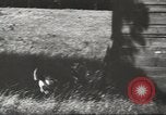 Image Hitler et agents au Wolfs Lair Gierloz Prusse, 1943, de la seconde 18 séquences d'archives historiques vidéo 65675057614