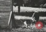 Image Hitler et agents au Wolfs Lair Gierloz Prusse, 1943, de la seconde 32 séquences d'archives historiques vidéo 65675057614