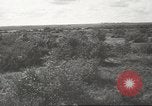 Image les troupes allemandes la Russie Union Soviétique, 1943, de la seconde 58 séquences d'archives historiques vidéo 65675057615