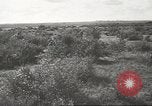Image les troupes allemandes la Russie Union Soviétique, 1943, de la seconde 59 séquences d'archives historiques vidéo 65675057615