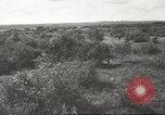 Image les troupes allemandes la Russie Union Soviétique, 1943, de la seconde 60 séquences d'archives historiques vidéo 65675057615