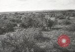 Image les troupes allemandes la Russie Union Soviétique, 1943, de la seconde 61 séquences d'archives historiques vidéo 65675057615